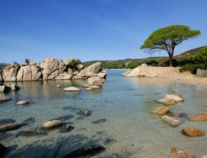 Hôtel Marina Corsica Site Officiel Hôtel 3 étoiles Pieds